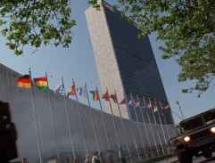 Budovy OSN