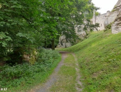 Svatba