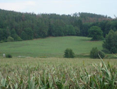 Stráže hledají prince