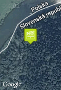 v lese
