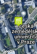 dvor univerzity