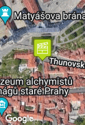 Zeď se psem