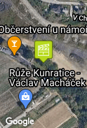 Družičky