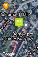 Sociální ústav