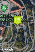 Alica na chodníku