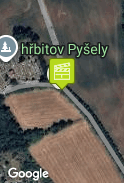 Mirek pod stromem